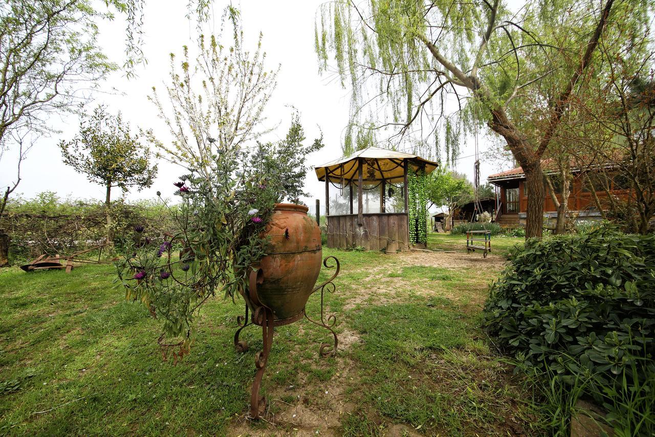 Tartaruga Motel Goce Zewnętrze zdjęcie